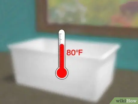 Уход от мучных червей Шаг 3