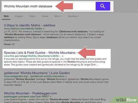 Определить мотыльков Шаг 8