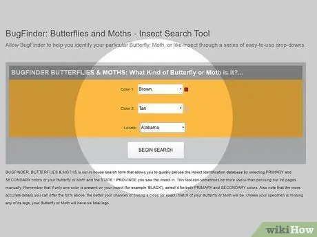 Определить мотыльков Шаг 9