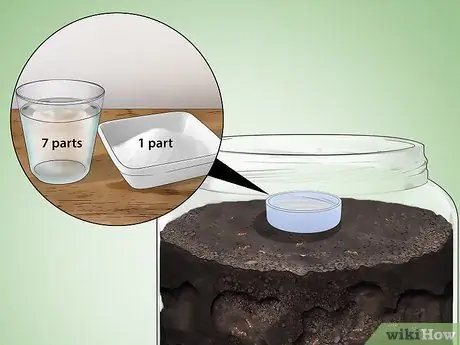 Уход за муравьями Шаг 11