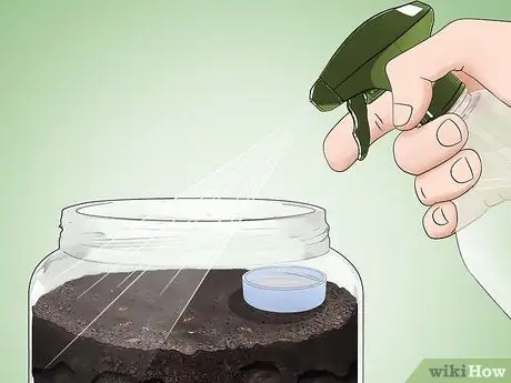 Уход за муравьями Шаг 12