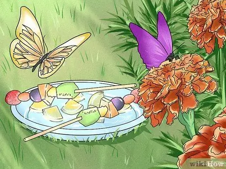 Сделайте кормушку для бабочек Шаг 15