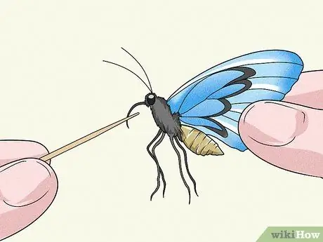 Сделайте кормушку для бабочек Шаг 4