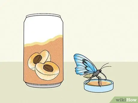 Сделайте кормушку для бабочек Шаг 7