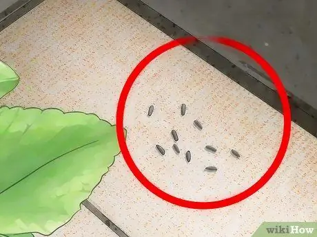 Поймать бабочек Шаг 14