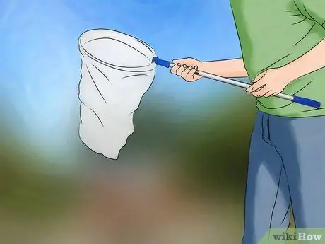 Поймать бабочек Шаг 4