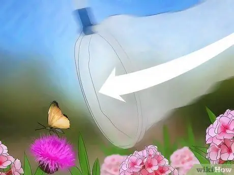 Поймать бабочек Шаг 5