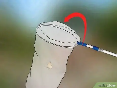 Поймать бабочек Шаг 6