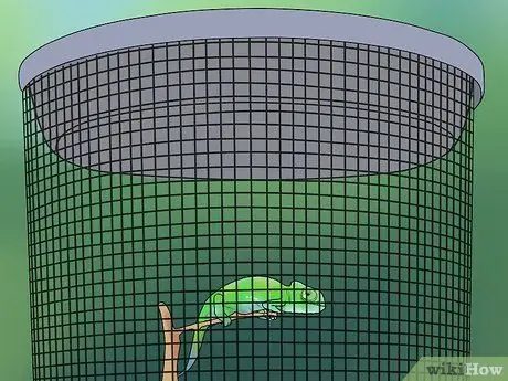 Постройте клетку для рептилий Шаг 4
