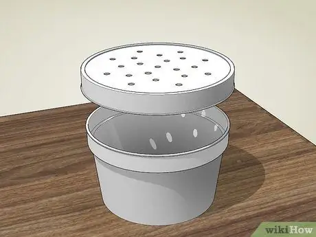 Выращивание бирюзовых мотыльков, шаг 1