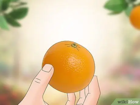 Привлечение бабочек фруктами Шаг 5