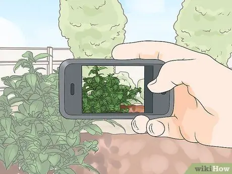 Покормить гусениц, шаг 1