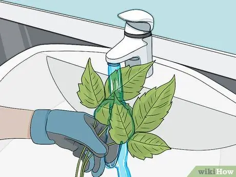 Покормить гусениц, шаг 2