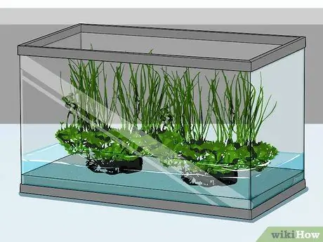 Покормить гусениц, шаг 4