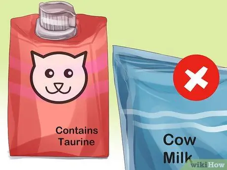 Дайте кошачье молоко вашей кошке Шаг 1