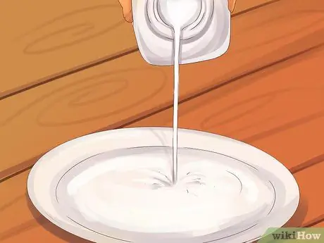 Дайте кошачье молоко вашей кошке Шаг 2