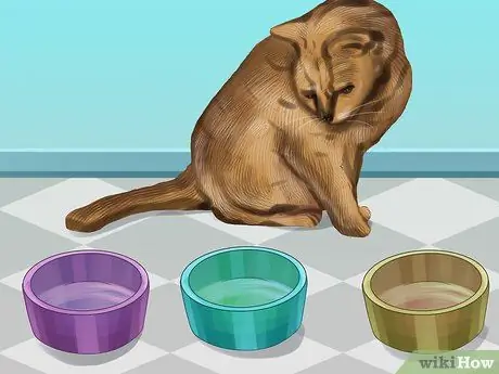 Кормите несколько кошек разными диетами Шаг 1