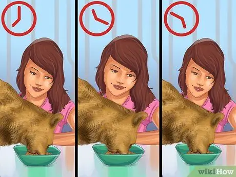 Кормите несколько кошек разными рационами Шаг 11