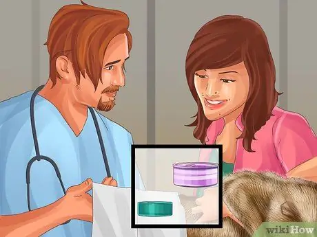 Кормите несколько кошек разными рационами Шаг 6