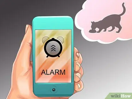 Составьте график кормления кошки Шаг 8