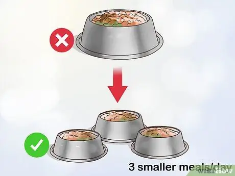 Избегайте перекармливания кошки Шаг 5