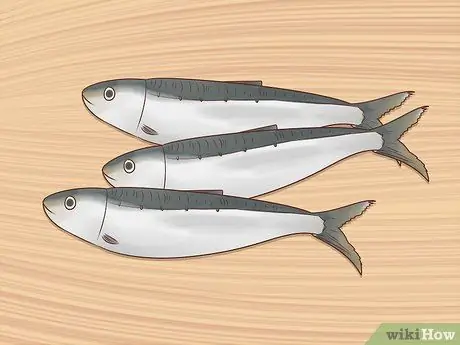 Дайте кошке жирные кислоты Шаг 11