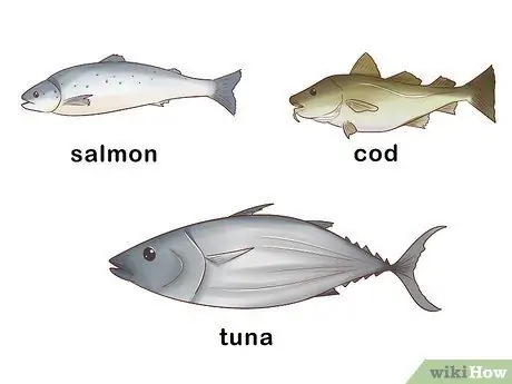 Дайте кошке жирные кислоты Шаг 12