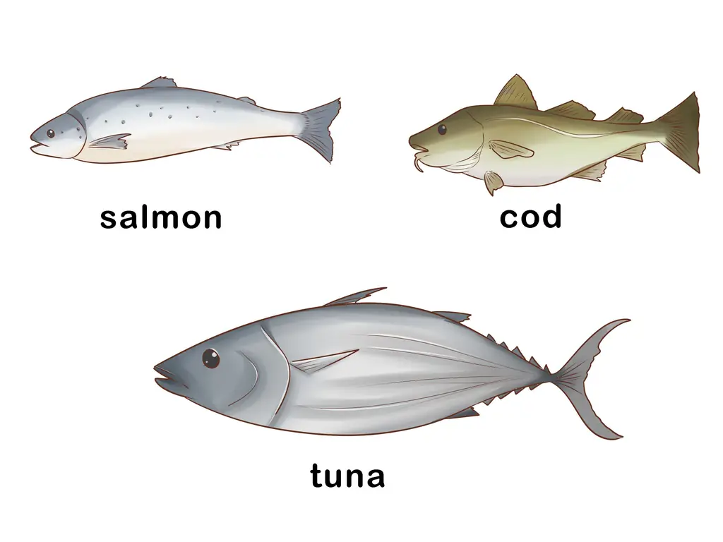 Как давать кошке жирные кислоты: 12 шагов (с иллюстрациями)