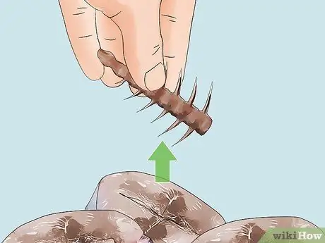 Обрезки стола для кошек Шаг 13