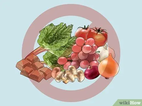 Обрезки стола для кормления кошек Шаг 2