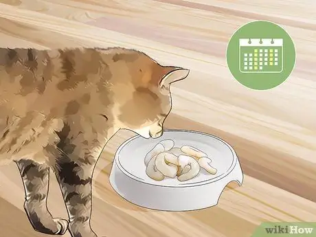 Обрезки стола для кошек Шаг 7