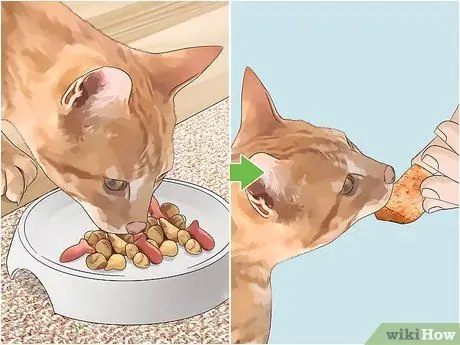 Обрезки стола для кошек Шаг 8