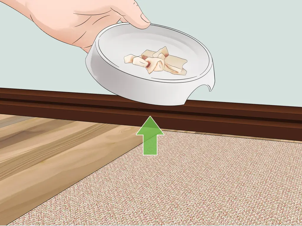 Как кормить кошек объедками со стола (с иллюстрациями)