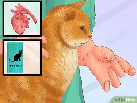 Give Пищевые добавки для кошек Шаг 5