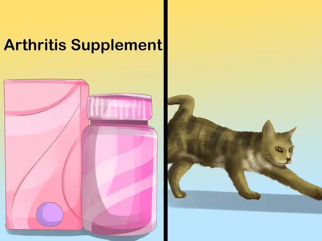 Как давать кошкам пищевые добавки: 8 шагов (с иллюстрациями)