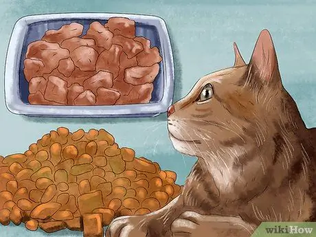 Покормить суетливого кота Шаг 6