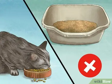 Покормить суетливого кота Шаг 9