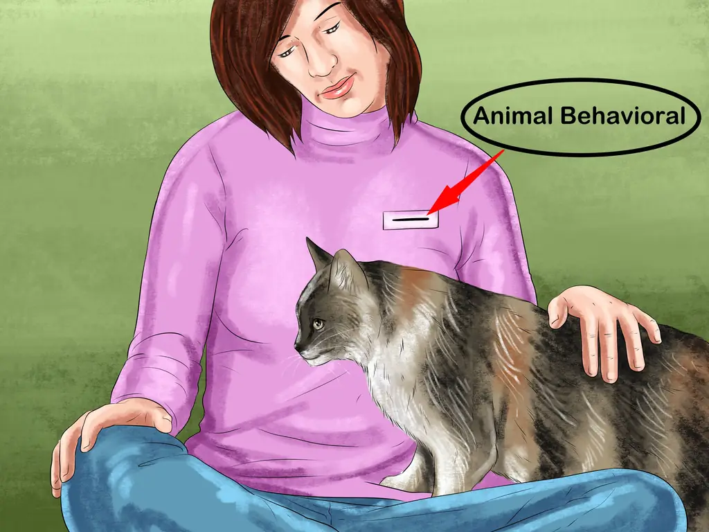 3 способа накормить суетливую кошку