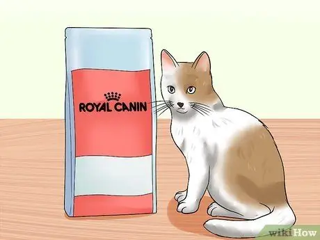 Лечить синдром раздраженного кишечника у кошек Шаг 8