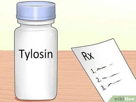 Лечить синдром раздраженного кишечника у кошек Шаг 3