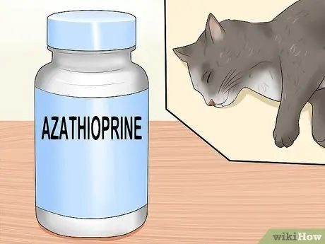 Лечить синдром раздраженного кишечника у кошек Шаг 4