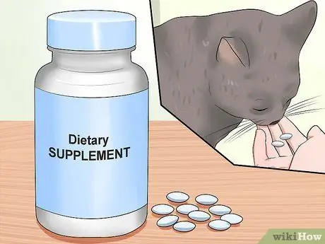 Лечить синдром раздраженного кишечника у кошек Шаг 5