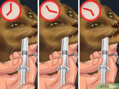 Кормление кошки из трубки Шаг 7