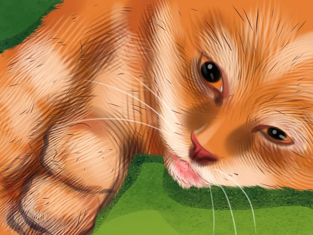 3 способа кормления кошки через трубку