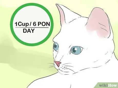 Этикетки на этикетках кормов для кошек Шаг 7