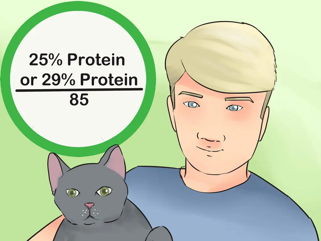 3 способа понять этикетку корма для кошек