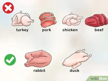 Как справиться с аллергией на корм для кошек Шаг 4