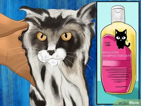 Диагностика и лечение аллергии на блох у кошек Шаг 13