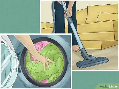 Диагностика и лечение аллергии на блох у кошек Шаг 7