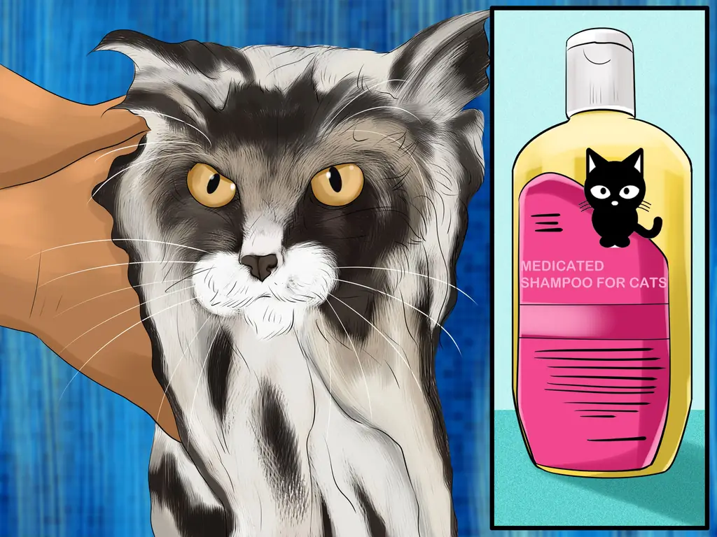 Как диагностировать и лечить аллергию на блох у кошек: 13 шагов